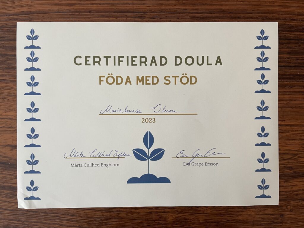 diplom föda med stöd doula